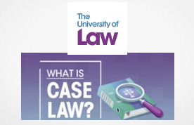 What is case law?