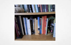 Lit Hub Article: Bookshelves for Your Book Selves: Monica Wood on Why She Organizes Books by Emotion