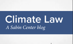 CLIMATE LITIGATION CROSS-CUTTING ISSUES - Reparation for Climate Change at the ECtHR