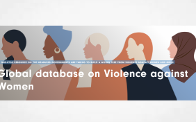 Global Database on Violence against Women Research Consultant United Nations Development Programme (UNDP)