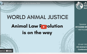 WAJ Presentation -UK Animal Law Conference 2024