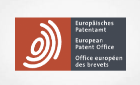 Results of the Case Law Book survey 2024