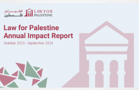 Law for Palestine Annual Impact Report