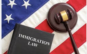 Trumps's Immmigration Policy Will Make Lawyers Very Busy