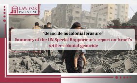 Publication: Summary of the UN Special Rapporteur’s report on Israel’s settler-colonial genocide