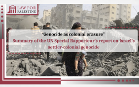 Genocide as colonial erasure || Summary of the UN Special Rapporteur’s report on Israel’s settler-colonial genocide