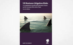 US Business Litigation Risks: A Comprehensive Handbook for Business Owners and the Attorneys Who Advise Them, Second Edition