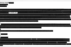 USA: Attorneys Present Judge Ana C. Reyes  With Redaction On Steroids,