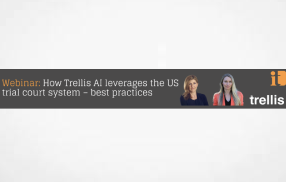 Webinar: How Trellis AI leverages the US trial court system – best practices