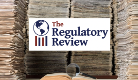 Paper: Improving How We Measure Cumulative Regulatory Impact