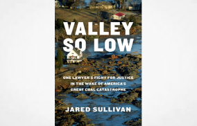 New Title “Valley So Low” covers decade-long case stemming from 2008 disaster that helped move the EPA into adopting its first national regulations of coal ash.