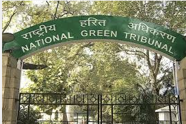 India: Legal Researcher Vacancy At National Green Tribunal