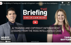 The Briefing: AI Training and Copyright Infringement: Lessons from the Ross Intelligence Case