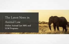 Employing Animal Advocacy to Combat Climate Change