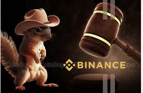 Peanut the Squirrel’s Owner Takes Legal Action Against Binance Over Trademark Infringement