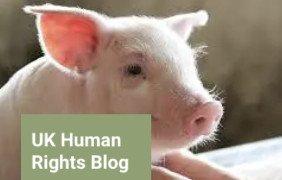 Law Pod new episode: Animals as Legal Subjects