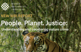 New WRI report highlights global threat of nature crime