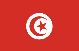 Tunisia: Türk says rulings in “conspiracy” case are a setback to justice and rule of law