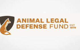 Washington Governor Signs Animal Protection Bills into Law