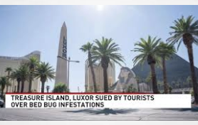 Two Las Vegas Casinos Sued Over Alleged Bed Bug Infestation