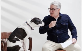 ‘Have you ever seen a dog smile?’: Milwaukee attorney explains why he practices animal law