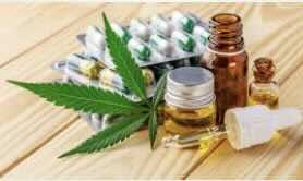 IP in the Weeds: Navigating Cannabis Patents and Trademarks