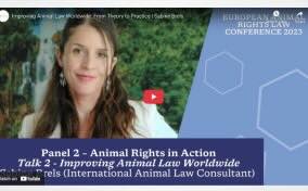 Improving Animal Law Worldwide: From Theory to Practice | Sabine Brels