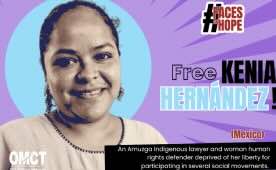Mexico: Amuzga Indigenous lawyer and woman rights defender deprived of her liberty for participating in social movements