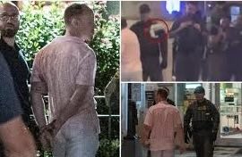Justice Department lawyer charged & fired after throwing Subway sandwich at federal law enforcement officer... “I did it. I threw a sandwich.”