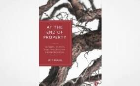 At the End of Property: Patents, Plants and the Crisis of Propertization