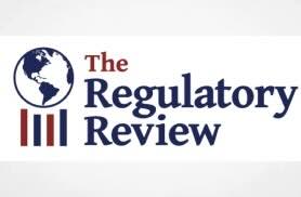 Academic Toadies Impair Government Performance