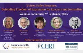 Voices Under Pressure: Defending Freedom of Expression for Lawyers and Journalists