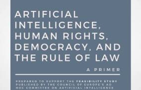 "Artificial Intelligence, Human Rights, Democracy, and the Rule of Law."
