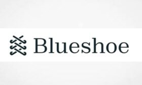 But wait here's more AI legal reserach - this one's called Blueshoe
