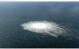 Ukrainian diver wanted over Nord Stream explosions detained in Poland