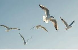 Lex Blog Are Working With Law Prof Law Blog Network To Migrate Legal Content