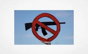 Regulatory Review: The Role of History and Tradition in Gun Control Litigation