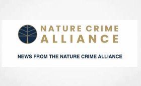 Nature Crime Alliance Publish Latest Newsletter