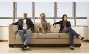 Article: Who Gets The Dog? A Landmark Shift In UK Divorce Law—And Why You Should Consider A Pet-Nup