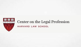 Navigating Ethics as a Government Lawyer