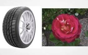 Current Legal Update Sumitomo Tyres Make History with India’s Maiden Smell Trademark Registration