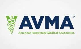 AVMA, American Bar Association highlight link between domestic violence, animal cruelty