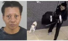 Lawyer for woman accused of drowning her dog at Orlando Airport bathroom might leave case