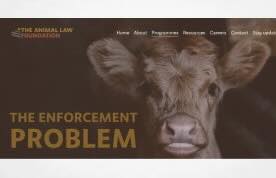 UK: Report demands animal law enforcement reform