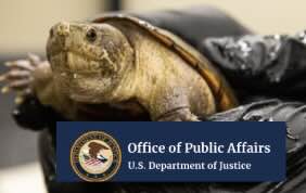Chinese National Sentenced to Prison for Trafficking Reptiles