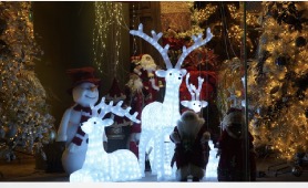 Article: How the ‘Reindeer Rule’ Impacts Government Holiday Displays