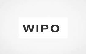 WIPO Webinar for Judges: Navigating the Threshold of Trademark Use in Online Advertising - January 29, 2026