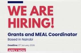 Legal Action Worldwide (LAW) is Seeking a Grants and MEAL Coordinator – Apply By 7 January 2026