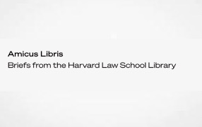 Replication of Government Datasets and the Principles of Provenance
