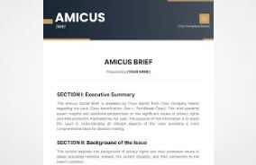 Article: The Rise of Scholars' Amicus Briefs: How Academic Voices Shape Supreme Court Decisions